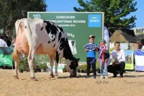 Un homme, deux enfants et une vache lors de la remise des prix d'un concours bovin