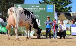 Un homme, deux enfants et une vache lors de la remise des prix d'un concours bovin