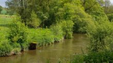 Une rivière en Bretagne au printemps.
