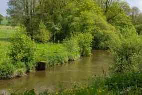 Une rivière en Bretagne au printemps.