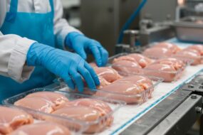 Gros plan sur une chaine de production de mise en barquette de filets de poulet