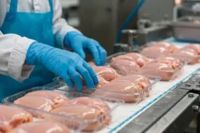 Gros plan sur une chaine de production de mise en barquette de filets de poulet