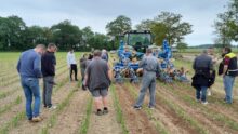des agriculteurs assistent à une démonstration de désherbage mécanique