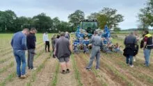 des agriculteurs assistent à une démonstration de désherbage mécanique
