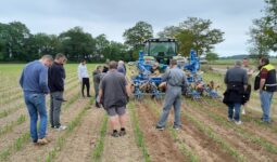 des agriculteurs assistent à une démonstration de désherbage mécanique
