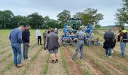 des agriculteurs assistent à une démonstration de désherbage mécanique