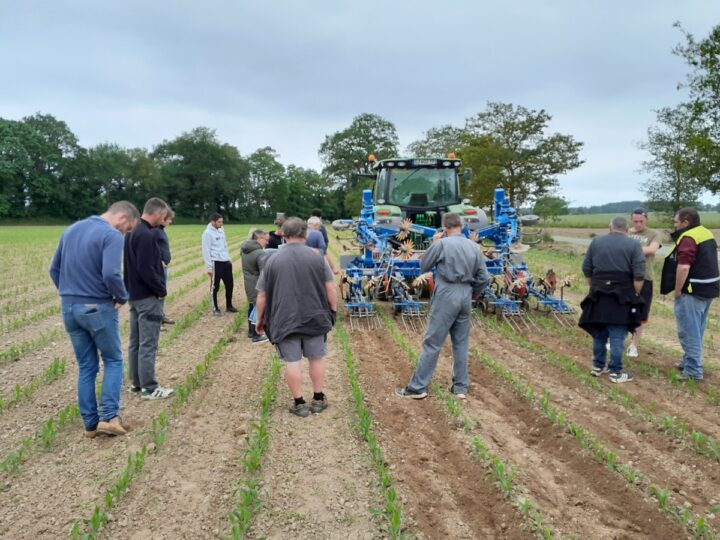des agriculteurs assistent à une démonstration de désherbage mécanique