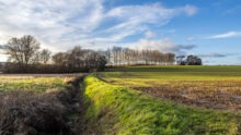 Un paysage de bocage avec un fossé en premier plan