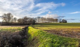 Un paysage de bocage avec un fossé en premier plan