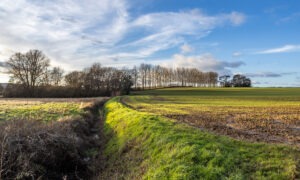 Un paysage de bocage avec un fossé en premier plan