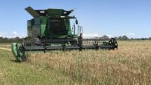 Une moissonneuse-batteuse au travail dans un champ de céréales