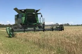 Une moissonneuse-batteuse au travail dans un champ de céréales