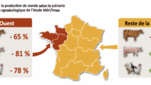 Carte de l'évolution de la production de viande