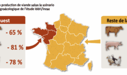 Carte de l'évolution de la production de viande