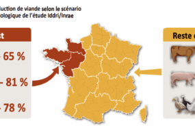 Carte de l'évolution de la production de viande