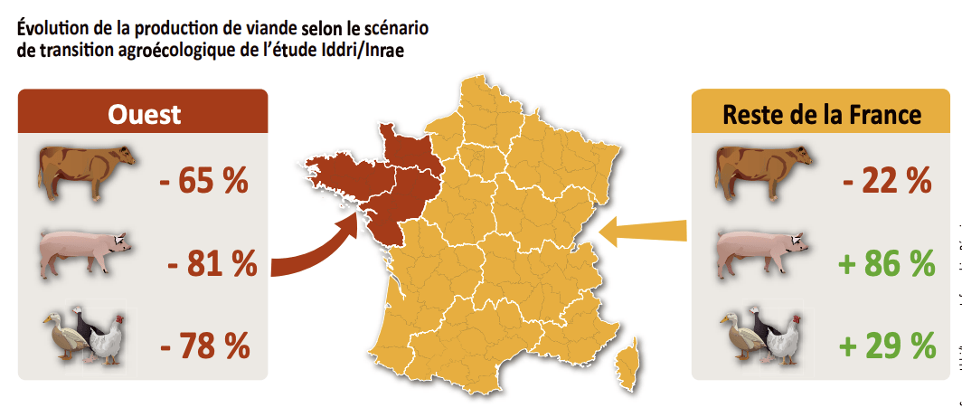 Carte de l'évolution de la production de viande - Illustration La production dans l’Ouest serait pénalisée