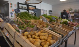 Des cageots de légumes dans un magasin