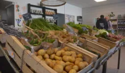 Des cageots de légumes dans un magasin