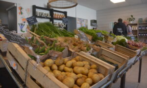 Des cageots de légumes dans un magasin
