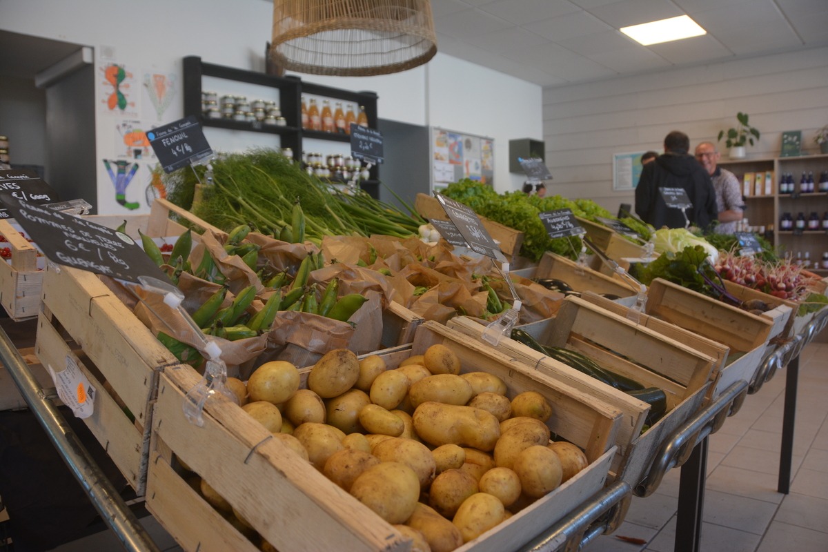 Des cageots de légumes dans un magasin - Illustration Bien plus qu’un simple magasin
