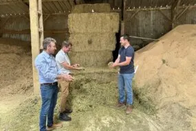 trois personnes devant un tas de luzerne brins longs