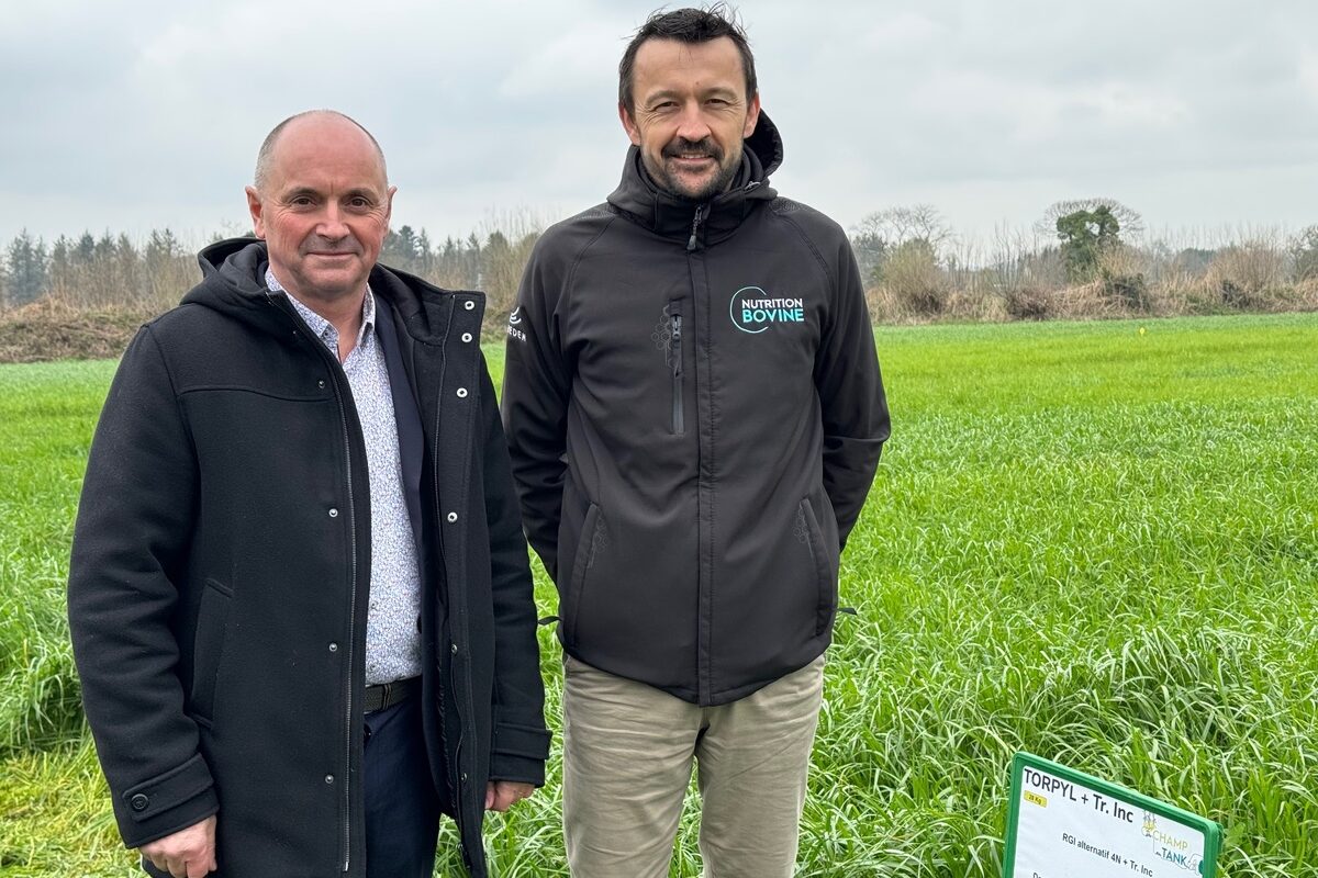 Deux hommes dans une prairie - Illustration Du lait, mais pas seulement