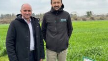 Deux hommes dans une prairie