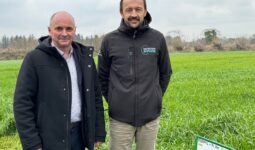 Deux hommes dans une prairie