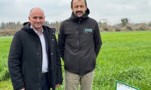 Deux hommes dans une prairie