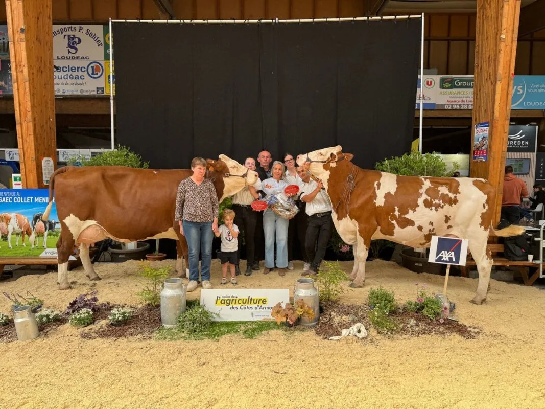 Cat Nevada, Championne de la catégorie Adulte, et sa Réserve Rolls, deux vaches appartenant au Gaec du Bois Mogaly à Saint-Maudan (22)