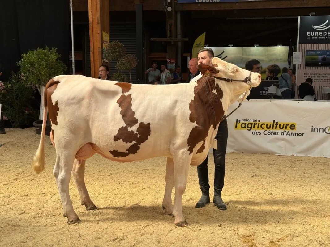 Utopie RJE, à la copropriété Gaec du Plaisir et Gaec Le Febvrier aux Forges de Lanouée (56)
