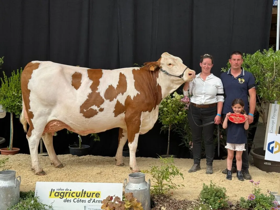 Ridalia, appartenant au Gaec Le Febvrier aux Forges-de-Lanouée, sacrée Meilleure fromagère.