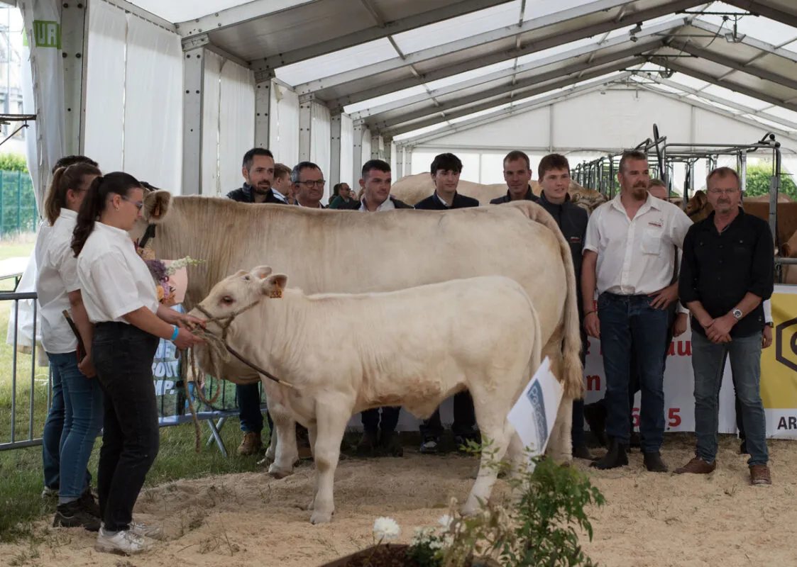 Les éleveurs ayant participé au concours interdépartemental de la Charolaise au Salon de Loudéac 2025 autour de Jamie, suitée d'Adjani, désignée Meilleur animal du concours.