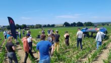Une foule dans un champ lors d'une démonstration de matériel agricole