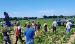 Une foule dans un champ lors d'une démonstration de matériel agricole