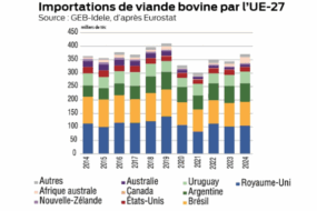 Graphique des importations de viande bovine par l'UE-27