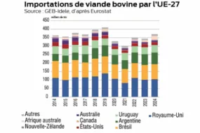 Graphique des importations de viande bovine par l'UE-27