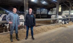 2 hommes dans uns stabulation avec des vaches en arrière plan