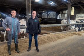 2 hommes dans uns stabulation avec des vaches en arrière plan