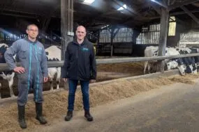 2 hommes dans uns stabulation avec des vaches en arrière plan