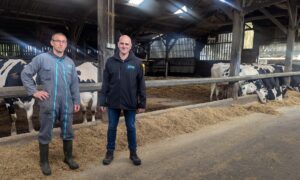 2 hommes dans uns stabulation avec des vaches en arrière plan