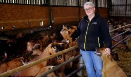 Une femme dans une stabulation avec des chèvres