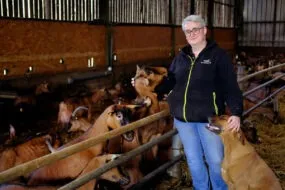 Une femme dans une stabulation avec des chèvres