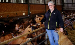 Une femme dans une stabulation avec des chèvres