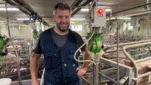 Un éleveur dans une salle de maternité d'un élevage de porc