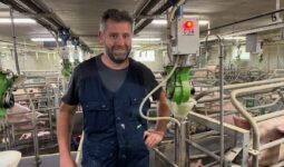 Un éleveur dans une salle de maternité d'un élevage de porc