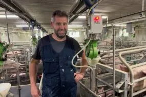Un éleveur dans une salle de maternité d'un élevage de porc
