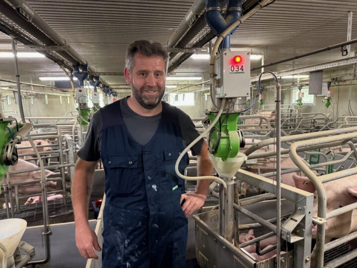 Un éleveur dans une salle de maternité d'un élevage de porc