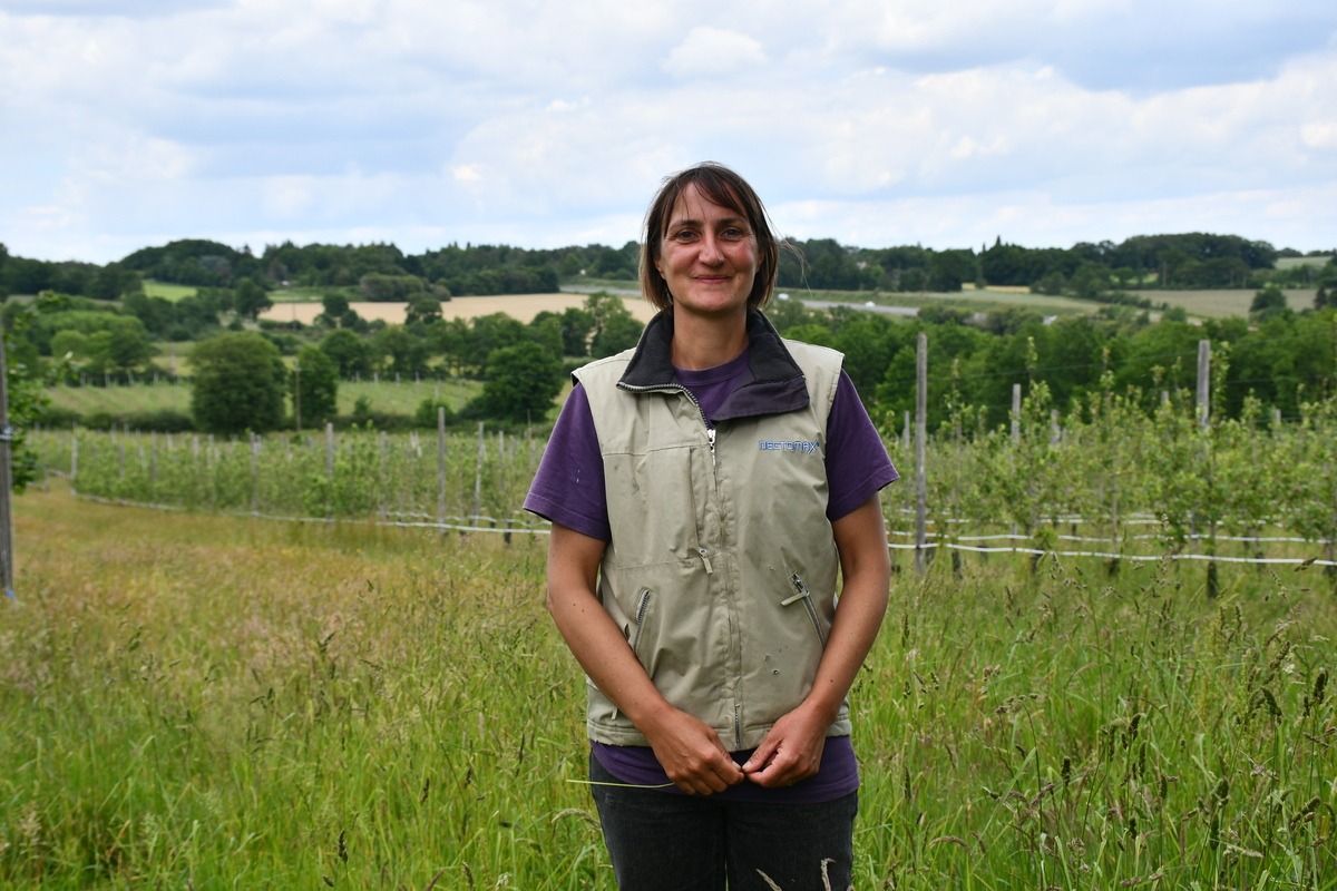 Une femme devant un paysage de vergers et bocages - Illustration La biodiversité bienvenue au verger