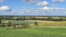 Un paysage de campagne dans le Morbihan
